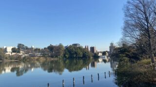 洗足池公園