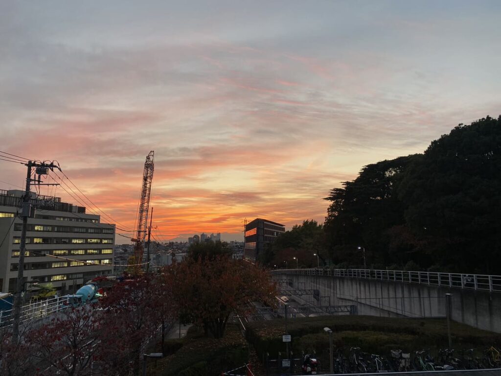 夕暮れ時の橋からの眺め