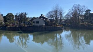 碑文谷公園の弁天池