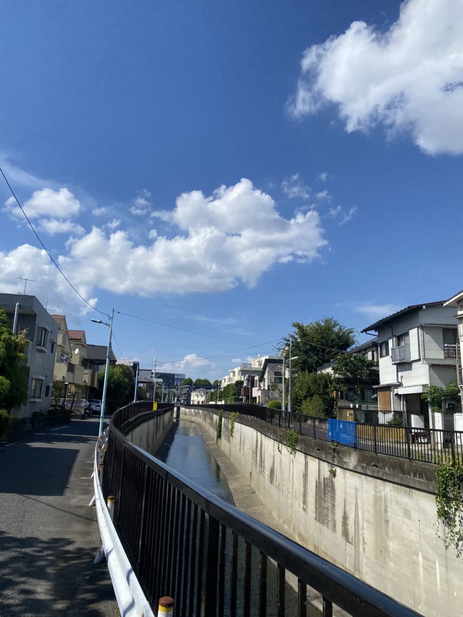 青空の下の呑川沿い