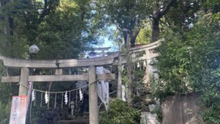 2511walk23アイキャッチ